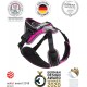 IDC Longwalk Harness, Red/Grey, Size: L IDC Longwalk Harness, Red/Grey, Size: L