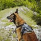 IDC Longwalk Harness, Red/Grey, Size: L IDC Longwalk Harness, Red/Grey, Size: L