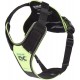 IDC Longwalk Harness, Red/Grey, Size: L IDC Longwalk Harness, Red/Grey, Size: L