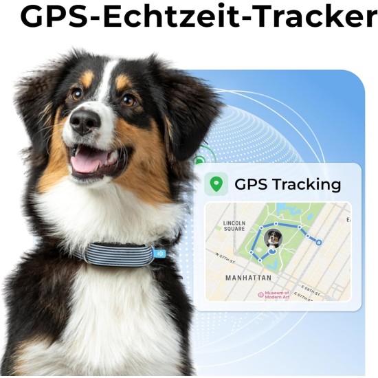 Invoxia Minitailz - Health and GPS Tracker for Dogs #1 - Heart and Breath Scans - Real-time Location - Activity and Wellbeing Analysis - Compact, Lightweight Invoxia Minitailz - Health and GPS Tracker for Dogs #1 - Heart and Breath Scans - Real-time Location - Activity and Wellbeing Analysis - Compact, Lightweight