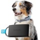 Invoxia Minitailz - Health and GPS Tracker for Dogs #1 - Heart and Breath Scans - Real-time Location - Activity and Wellbeing Analysis - Compact, Lightweight