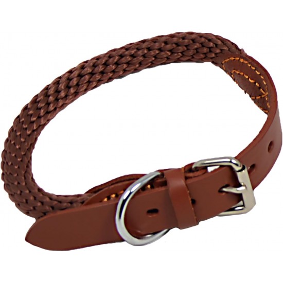 JACK AND VANILLA, Stylish Beige Dog Collar, 15mm Wide and 60cm Long, Designed for Comfort and Safety, Easy to Maintain, Perfect for Medium Dogs, Walkabout Model JACK AND VANILLA, Stylish Beige Dog Collar, 15mm Wide and 60cm Long, Designed for Comfort and Safety, Easy to Maintain, Perfect for Medium Dogs, Walkabout Model