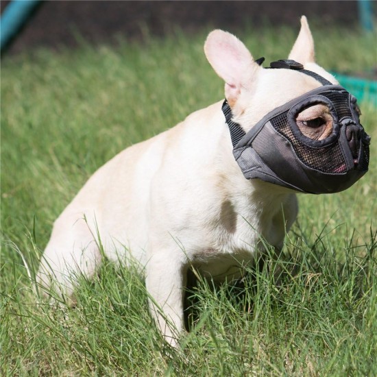 JYHY Short Snout Dog Muzzle Adjustable Breathable Mesh Bulldog Muzzle for Biting Chewing Barking Training Dog Mask Size S (23-31cm), Green JYHY Short Snout Dog Muzzle Adjustable Breathable Mesh Bulldog Muzzle for Biting Chewing Barking Training Dog Mask Size S (23-31cm), Green