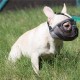 JYHY Short Snout Dog Muzzle Adjustable Breathable Mesh Bulldog Muzzle for Biting Chewing Barking Training Dog Mask Size S (23-31cm), Green JYHY Short Snout Dog Muzzle Adjustable Breathable Mesh Bulldog Muzzle for Biting Chewing Barking Training Dog Mask Size S (23-31cm), Green