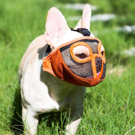 JYHY Short Snout Dog Muzzle Adjustable Breathable Mesh Bulldog Muzzle for Biting Chewing Barking Training Dog Mask Size S (23-31cm), Green JYHY Short Snout Dog Muzzle Adjustable Breathable Mesh Bulldog Muzzle for Biting Chewing Barking Training Dog Mask Size S (23-31cm), Green