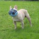 JYHY Short Snout Dog Muzzle Adjustable Breathable Mesh Bulldog Muzzle for Biting Chewing Barking Training Dog Mask Size S (23-31cm), Green JYHY Short Snout Dog Muzzle Adjustable Breathable Mesh Bulldog Muzzle for Biting Chewing Barking Training Dog Mask Size S (23-31cm), Green