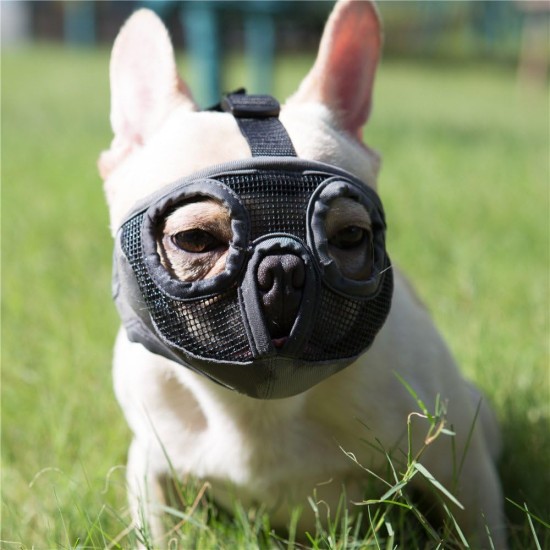 JYHY Short Snout Dog Muzzle Adjustable Breathable Mesh Bulldog Muzzle for Biting Chewing Barking Training Dog Mask Size S (23-31cm), Green JYHY Short Snout Dog Muzzle Adjustable Breathable Mesh Bulldog Muzzle for Biting Chewing Barking Training Dog Mask Size S (23-31cm), Green