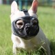 JYHY Short Snout Dog Muzzle Adjustable Breathable Mesh Bulldog Muzzle for Biting Chewing Barking Training Dog Mask Size S (23-31cm), Green JYHY Short Snout Dog Muzzle Adjustable Breathable Mesh Bulldog Muzzle for Biting Chewing Barking Training Dog Mask Size S (23-31cm), Green