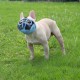 JYHY Short Snout Dog Muzzle Adjustable Breathable Mesh Bulldog Muzzle for Biting Chewing Barking Training Dog Mask Size S (23-31cm), Green JYHY Short Snout Dog Muzzle Adjustable Breathable Mesh Bulldog Muzzle for Biting Chewing Barking Training Dog Mask Size S (23-31cm), Green