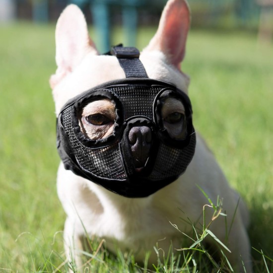 JYHY Short Snout Dog Muzzle Adjustable Breathable Mesh Bulldog Muzzle for Biting Chewing Barking Training Dog Mask Size S (23-31cm), Green JYHY Short Snout Dog Muzzle Adjustable Breathable Mesh Bulldog Muzzle for Biting Chewing Barking Training Dog Mask Size S (23-31cm), Green
