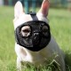 JYHY Short Snout Dog Muzzle Adjustable Breathable Mesh Bulldog Muzzle for Biting Chewing Barking Training Dog Mask Size S (23-31cm), Green JYHY Short Snout Dog Muzzle Adjustable Breathable Mesh Bulldog Muzzle for Biting Chewing Barking Training Dog Mask Size S (23-31cm), Green