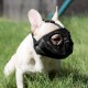 JYHY Short Snout Dog Muzzle Adjustable Breathable Mesh Bulldog Muzzle for Biting Chewing Barking Training Dog Mask Size S (23-31cm), Green JYHY Short Snout Dog Muzzle Adjustable Breathable Mesh Bulldog Muzzle for Biting Chewing Barking Training Dog Mask Size S (23-31cm), Green
