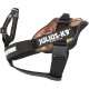 Julius-K9 162BGI-L I-Belt for Dogs, Size L, for 40-90 kg dogs