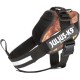 Julius-K9 162BGI-L I-Belt for Dogs, Size L, for 40-90 kg dogs