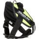 Julius-K9 162BGI-L I-Belt for Dogs, Size L, for 40-90 kg dogs