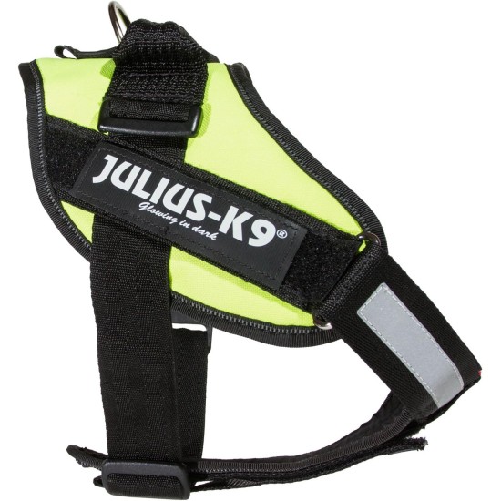 Julius-K9 162BGI-L I-Belt for Dogs, Size L, for 40-90 kg dogs Julius-K9 162BGI-L I-Belt for Dogs, Size L, for 40-90 kg dogs