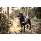 Julius-K9 162BGI-L I-Belt for Dogs, Size L, for 40-90 kg dogs