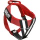 Julius-K9 162BGI-L I-Belt for Dogs, Size L, for 40-90 kg dogs