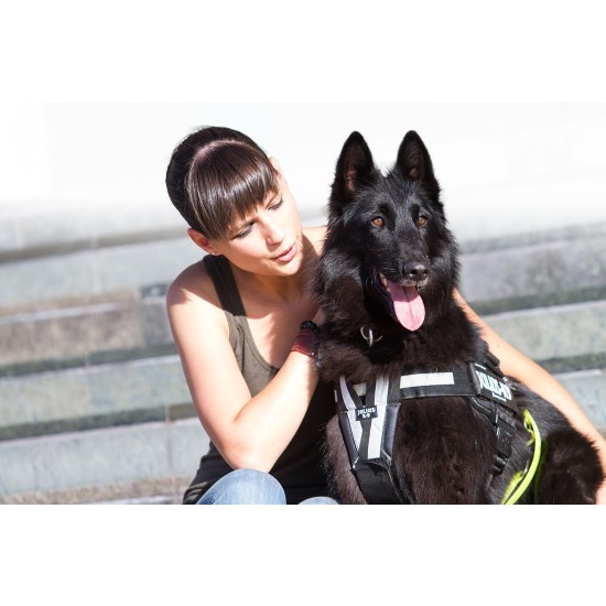 Julius-K9 162BGI-L I-Belt for Dogs, Size L, for 40-90 kg dogs Julius-K9 162BGI-L I-Belt for Dogs, Size L, for 40-90 kg dogs