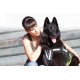 Julius-K9 162BGI-L I-Belt for Dogs, Size L, for 40-90 kg dogs