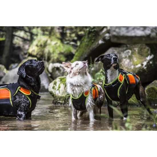 Julius-K9, 16SWM-IDC-L, IDC Multifunctional Dog Vest 3 IN 1, Large Julius-K9, 16SWM-IDC-L, IDC Multifunctional Dog Vest 3 IN 1, Large
