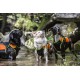 Julius-K9, 16SWM-IDC-L, IDC Multifunctional Dog Vest 3 IN 1, Large Julius-K9, 16SWM-IDC-L, IDC Multifunctional Dog Vest 3 IN 1, Large
