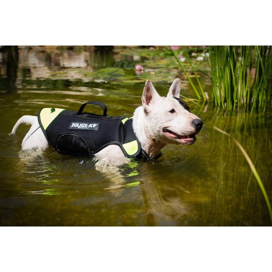 Julius-K9, 16SWM-IDC-L, IDC Multifunctional Dog Vest 3 IN 1, Large Julius-K9, 16SWM-IDC-L, IDC Multifunctional Dog Vest 3 IN 1, Large