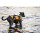 Julius-K9, 16SWM-IDC-L, IDC Multifunctional Dog Vest 3 IN 1, Large Julius-K9, 16SWM-IDC-L, IDC Multifunctional Dog Vest 3 IN 1, Large