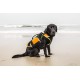 Julius-K9, 16SWM-IDC-L, IDC Multifunctional Dog Vest 3 IN 1, Large Julius-K9, 16SWM-IDC-L, IDC Multifunctional Dog Vest 3 IN 1, Large
