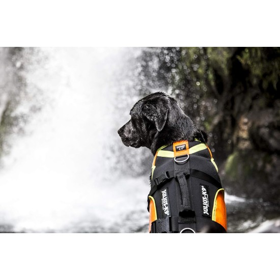 Julius-K9, 16SWM-IDC-L, IDC Multifunctional Dog Vest 3 IN 1, Large Julius-K9, 16SWM-IDC-L, IDC Multifunctional Dog Vest 3 IN 1, Large