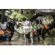 Julius-K9, 16SWM-IDC-M, IDC Multifunctional Dog Vest 3 IN 1, Medium Julius-K9, 16SWM-IDC-M, IDC Multifunctional Dog Vest 3 IN 1, Medium