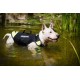 Julius-K9, 16SWM-IDC-S, IDC Multifunctional Dog Vest 3 IN 1, Small