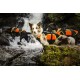 Julius-K9, 16SWM-IDC-S, IDC Multifunctional Dog Vest 3 IN 1, Small