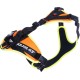Julius-K9 19MTR-FOR-M-AMZ Mantrailing & Outdoor Dog Harness, Size: M, UV Orange with Neon Edge Julius-K9 19MTR-FOR-M-AMZ Mantrailing & Outdoor Dog Harness, Size: M, UV Orange with Neon Edge