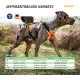 Julius-K9 19MTR-FOR-M-AMZ Mantrailing & Outdoor Dog Harness, Size: M, UV Orange with Neon Edge Julius-K9 19MTR-FOR-M-AMZ Mantrailing & Outdoor Dog Harness, Size: M, UV Orange with Neon Edge