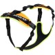 Julius-K9 19MTR-FOR-M-AMZ Mantrailing & Outdoor Dog Harness, Size: M, UV Orange with Neon Edge Julius-K9 19MTR-FOR-M-AMZ Mantrailing & Outdoor Dog Harness, Size: M, UV Orange with Neon Edge