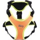 Julius-K9 19MTR-FOR-M-AMZ Mantrailing & Outdoor Dog Harness, Size: M, UV Orange with Neon Edge Julius-K9 19MTR-FOR-M-AMZ Mantrailing & Outdoor Dog Harness, Size: M, UV Orange with Neon Edge