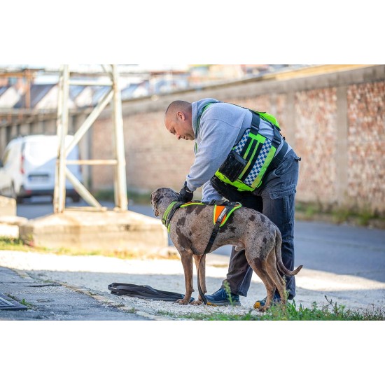 Julius-K9 19MTR-FOR-M-AMZ Mantrailing & Outdoor Dog Harness, Size: M, UV Orange with Neon Edge Julius-K9 19MTR-FOR-M-AMZ Mantrailing & Outdoor Dog Harness, Size: M, UV Orange with Neon Edge