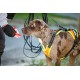 Julius-K9 19MTR-FOR-M-AMZ Mantrailing & Outdoor Dog Harness, Size: M, UV Orange with Neon Edge Julius-K9 19MTR-FOR-M-AMZ Mantrailing & Outdoor Dog Harness, Size: M, UV Orange with Neon Edge