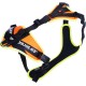 Julius-K9 19MTR-FOR-M-AMZ Mantrailing & Outdoor Dog Harness, Size: M, UV Orange with Neon Edge Julius-K9 19MTR-FOR-M-AMZ Mantrailing & Outdoor Dog Harness, Size: M, UV Orange with Neon Edge