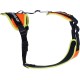 Julius-K9 19MTR-FOR-M-AMZ Mantrailing & Outdoor Dog Harness, Size: M, UV Orange with Neon Edge Julius-K9 19MTR-FOR-M-AMZ Mantrailing & Outdoor Dog Harness, Size: M, UV Orange with Neon Edge