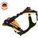 Julius-K9 19MTR-FOR-M-AMZ Mantrailing & Outdoor Dog Harness, Size: M, UV Orange with Neon Edge Julius-K9 19MTR-FOR-M-AMZ Mantrailing & Outdoor Dog Harness, Size: M, UV Orange with Neon Edge