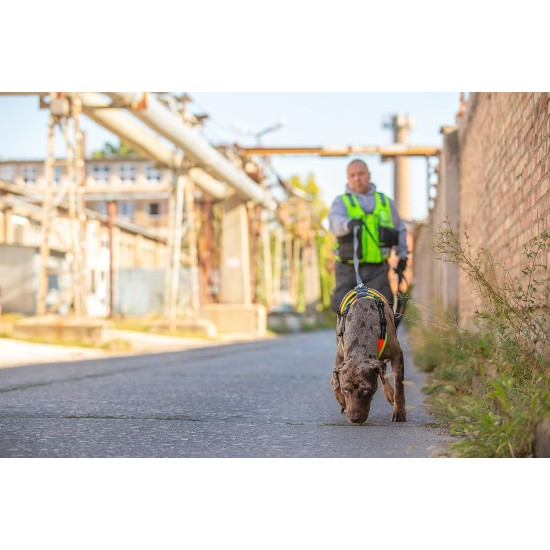Julius-K9 19MTR-FOR-M-AMZ Mantrailing & Outdoor Dog Harness, Size: M, UV Orange with Neon Edge Julius-K9 19MTR-FOR-M-AMZ Mantrailing & Outdoor Dog Harness, Size: M, UV Orange with Neon Edge