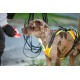 Julius-K9 19MTR-for-M-AMZ Mantrailing & Outdoor Dog Harness, Size: M, UV Orange with Neon Edge Julius-K9 19MTR-for-M-AMZ Mantrailing & Outdoor Dog Harness, Size: M, UV Orange with Neon Edge