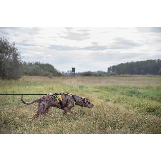 Julius-K9 19MTR-for-M-AMZ Mantrailing & Outdoor Dog Harness, Size: M, UV Orange with Neon Edge Julius-K9 19MTR-for-M-AMZ Mantrailing & Outdoor Dog Harness, Size: M, UV Orange with Neon Edge