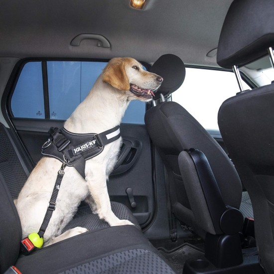 Julius-K9, Seat belt adapter for dogs, Size: 2, Black Julius-K9, Seat belt adapter for dogs, Size: 2, Black