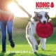 KONG Roll Out Terrain Dog Lead, Pink, Long Lead for Dogs, High-Quality Retractable Lead with Break & Lock System, Reflective & Wide Strap, Length 5 m, Size L up to 50 kg KONG Roll Out Terrain Dog Lead, Pink, Long Lead for Dogs, High-Quality Retractable Lead with Break & Lock System, Reflective & Wide Strap, Length 5 m, Size L up to 50 kg