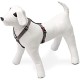 Karlie Art Sportiv Plus Harness, 35-50 cm x 15 mm, Grey Karlie Art Sportiv Plus Harness, 35-50 cm x 15 mm, Grey