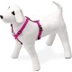 Karlie Art Sportiv Plus Harness, 35-50 cm x 15 mm, Grey Karlie Art Sportiv Plus Harness, 35-50 cm x 15 mm, Grey