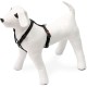 Karlie Art Sportiv Plus Harness, 35-50 cm x 15 mm, Grey Karlie Art Sportiv Plus Harness, 35-50 cm x 15 mm, Grey